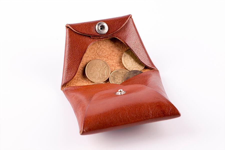 Coin Case 